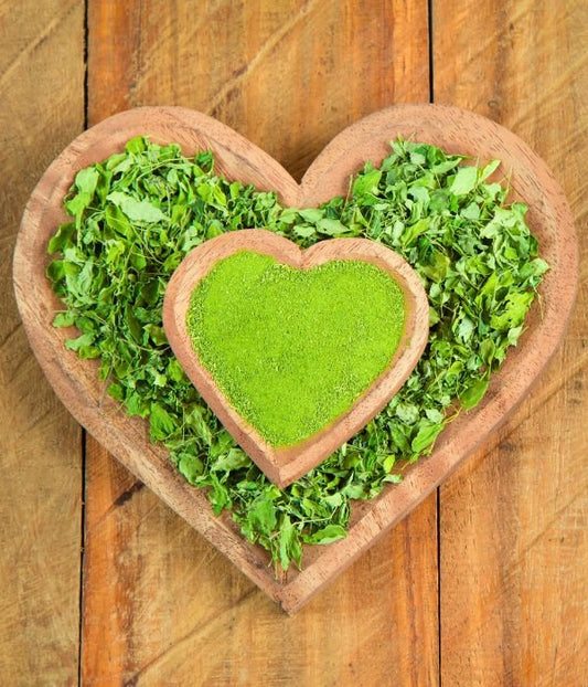 10 Amazing Moringa Health Benefits You Need to Know - Pura Vida Moringa