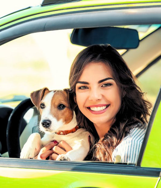 The Benefits of Moringa For Dogs - Pura Vida Moringa