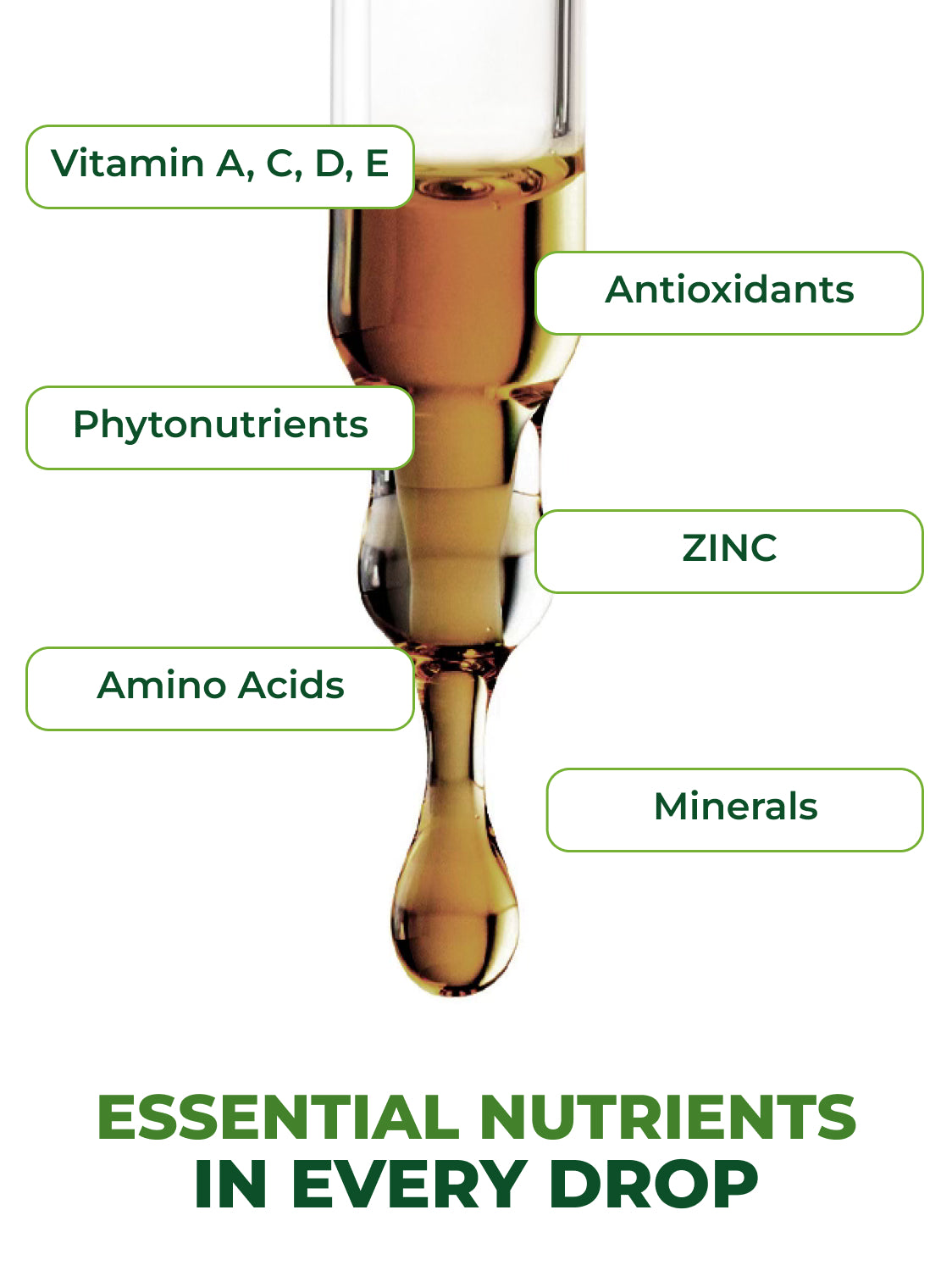 Moringa Leaf Extract Drops Pura Vida 2fl oz (60ml)