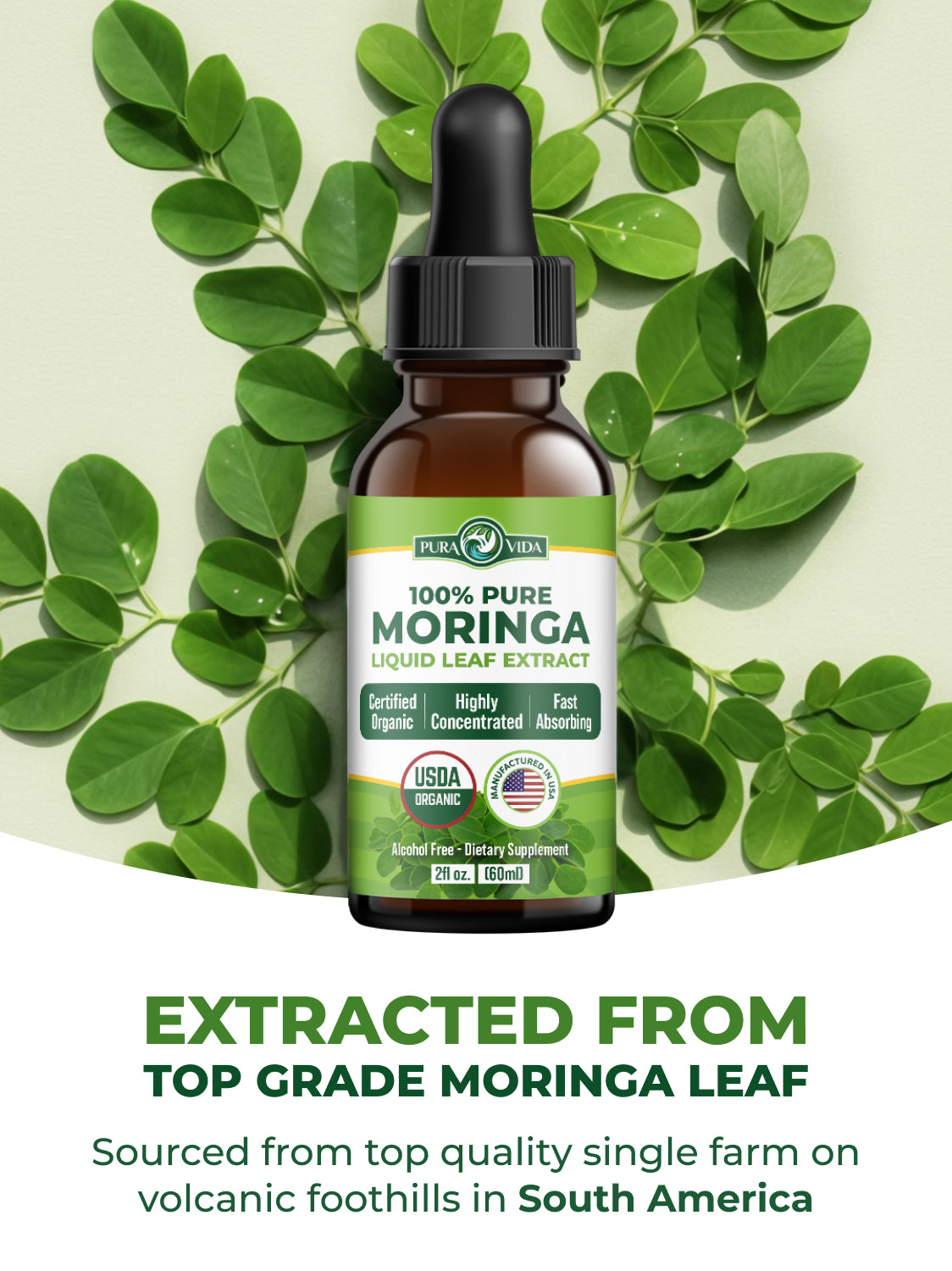 Moringa Leaf Extract Drops Pura Vida 2fl oz (60ml)