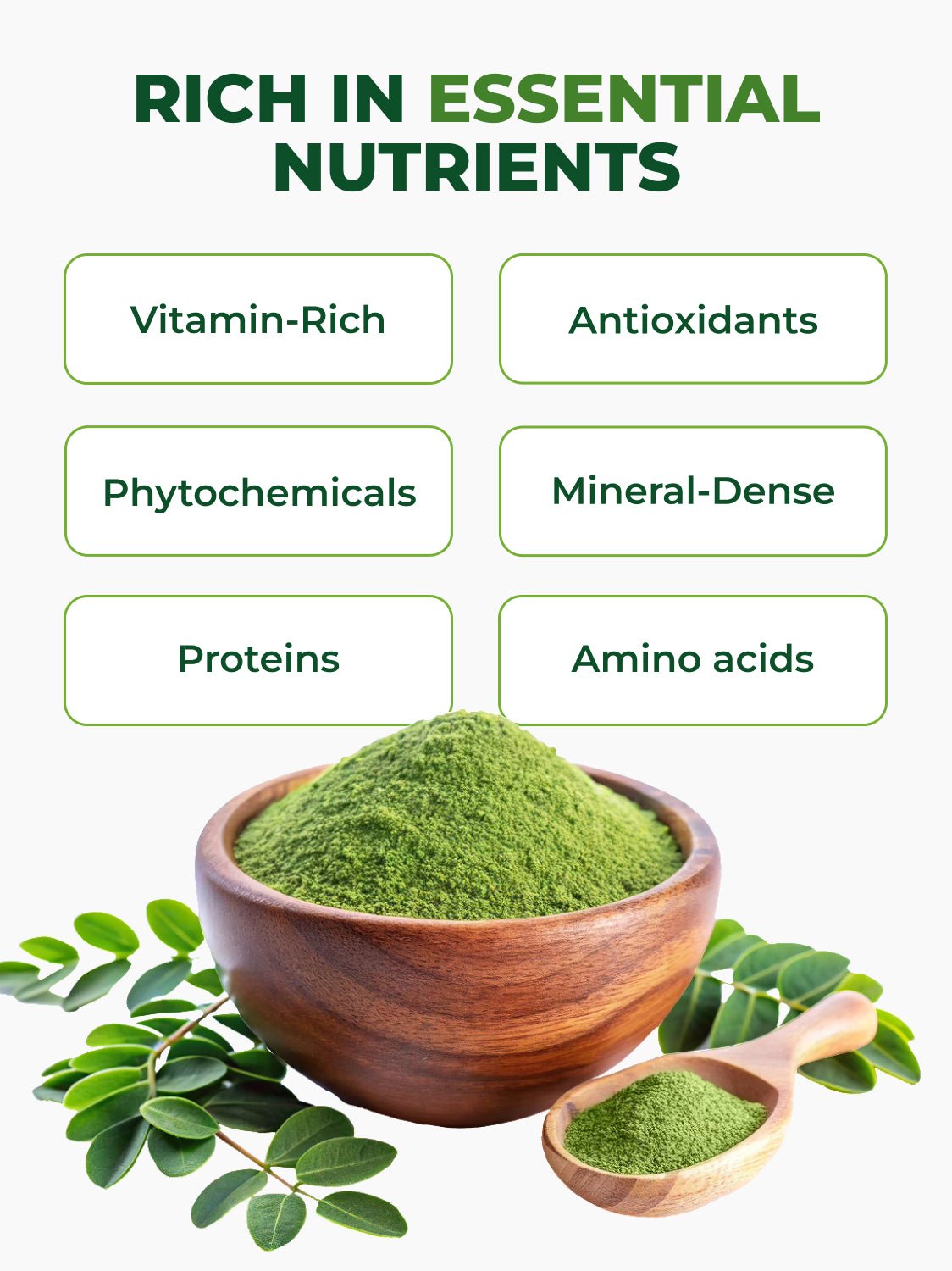 Moringa Leaf Powder Pura Vida 8oz (226g) - Pura Vida Moringa