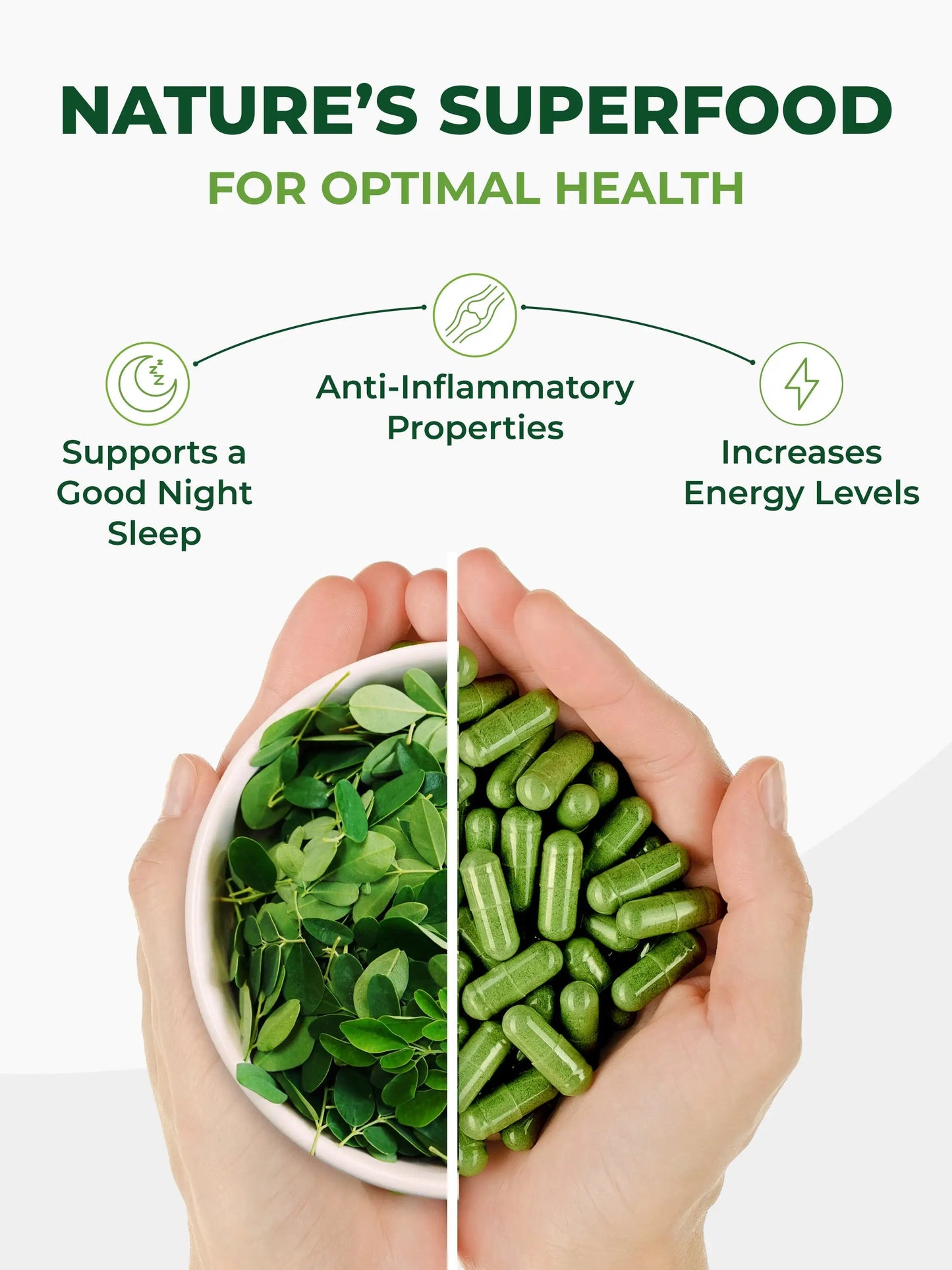 Pura Vida Moringa Capsules 500mg (120 Capsules) (LP1) - Pura Vida Moringa