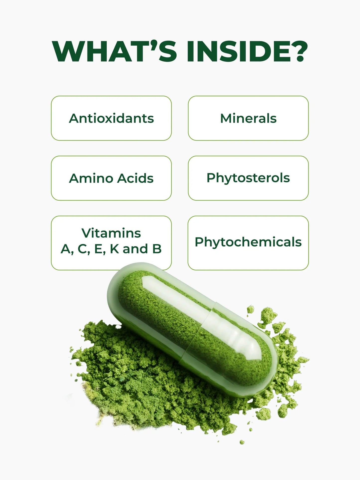 Pura Vida Moringa Capsules 500mg (120 Capsules) (LP1) - Pura Vida Moringa
