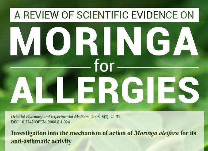 7 Ways Moringa Naturally Fights Off Asthma & Allergies - Pura Vida Moringa