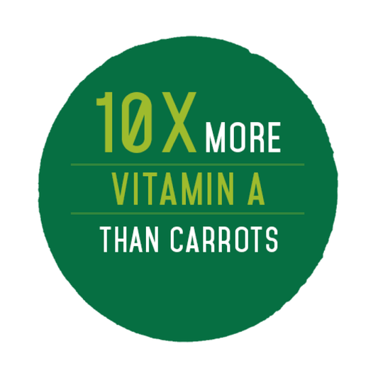 Moringa Oleifera has 10X More Vitamin A than Carrots