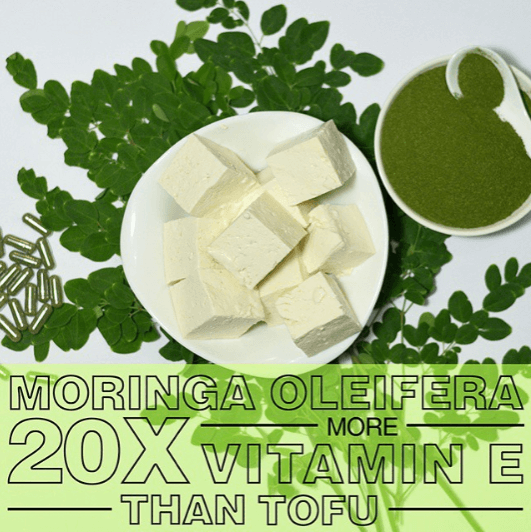 Moringa Oleifera has 20X More Vitamin E than Tofu