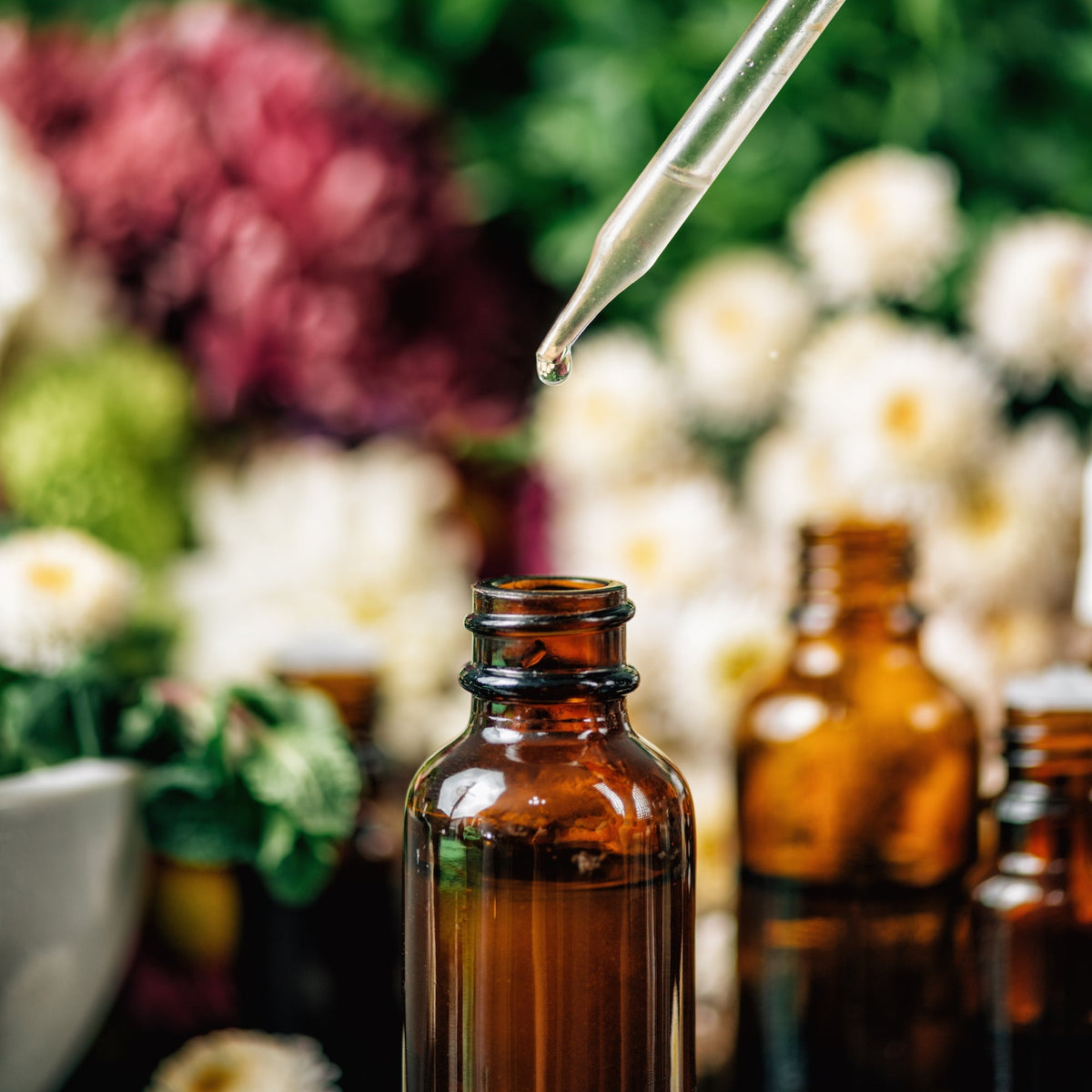 From Farm to Bottle: The Journey of Quality Moringa Drops - Pura Vida Moringa