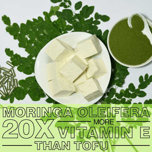 Moringa Oleifera has 20X More Vitamin E than Tofu - Pura Vida Moringa