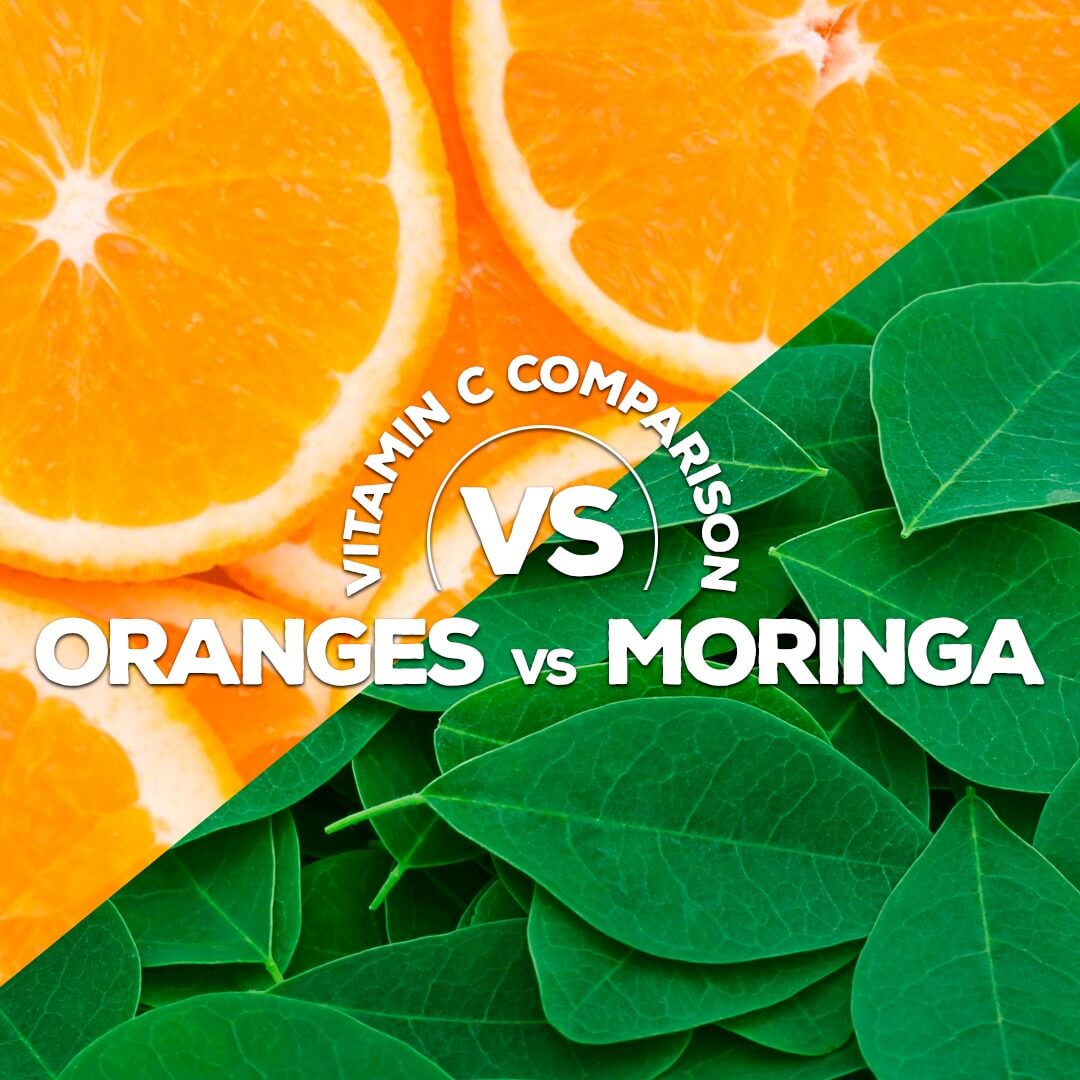 Moringa Oleifera has 7 times More Vitamin C than Oranges - Pura Vida Moringa