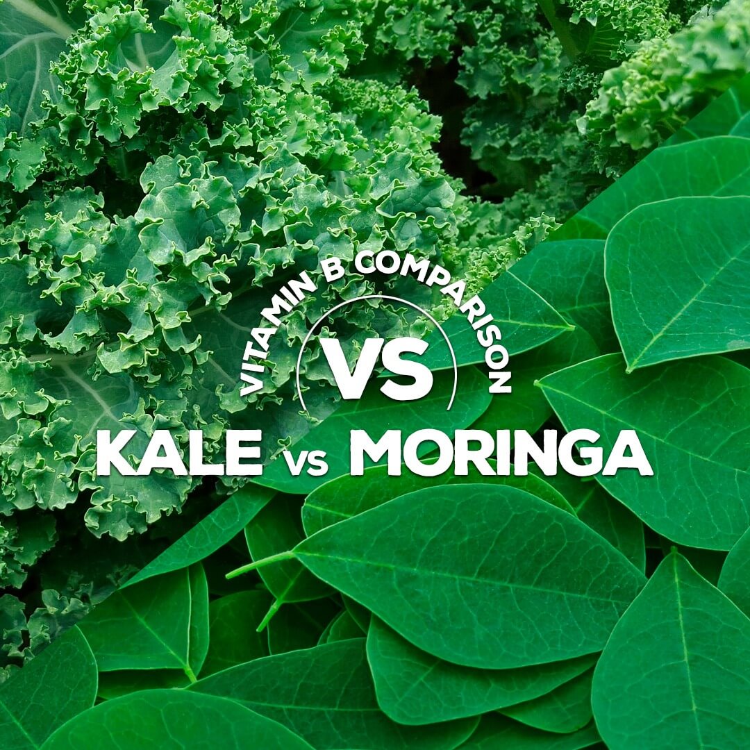 Moringa Oleifera’s Vitamin B Benefits - Pura Vida Moringa