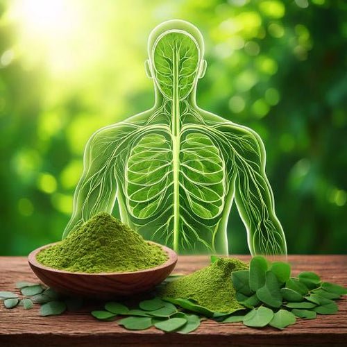 Moringa Powder and its Role in Cleansing the Lymphatic System - Pura Vida Moringa
