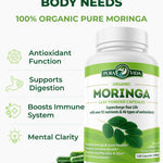 Moringa Capsules Pura Vida 500mg (120 Capsules) - Pura Vida Moringa