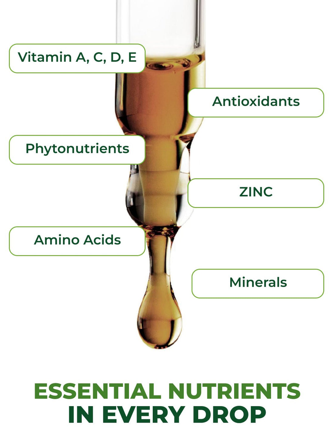 Moringa Leaf Extract Drops Pura Vida 2fl oz (60ml) - Pura Vida Moringa