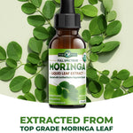 Moringa Leaf Extract Drops Pura Vida 2fl oz (60ml) - Pura Vida Moringa
