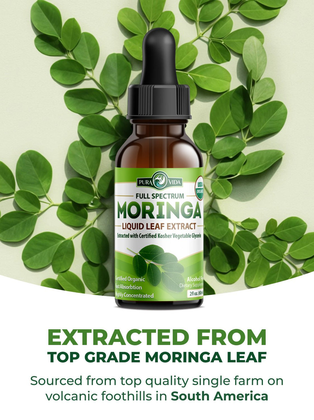 Moringa Leaf Extract Drops Pura Vida 2fl oz (60ml) - Pura Vida Moringa