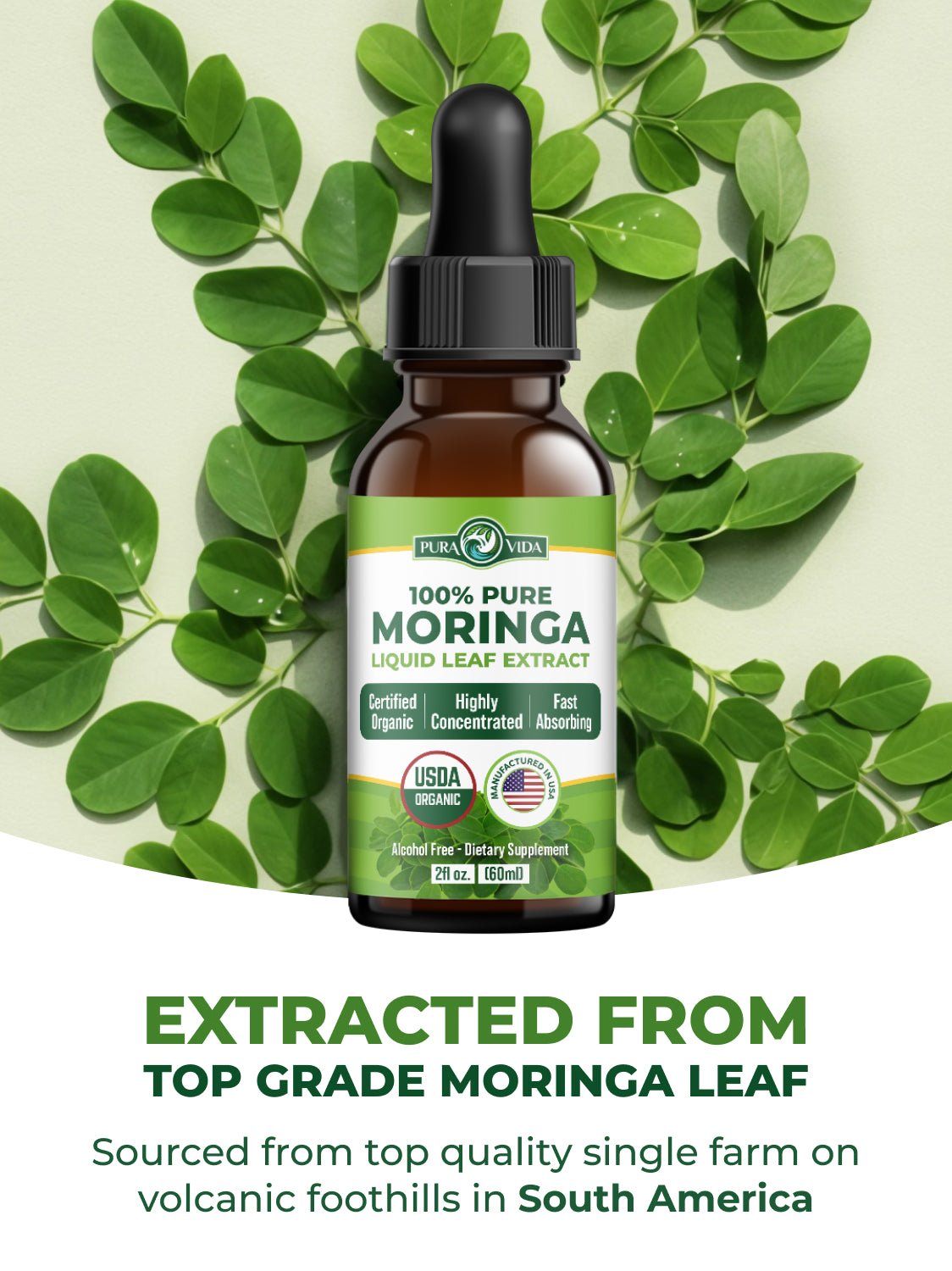 Moringa Leaf Extract Drops Pura Vida 2fl oz (60ml) - Pura Vida Moringa