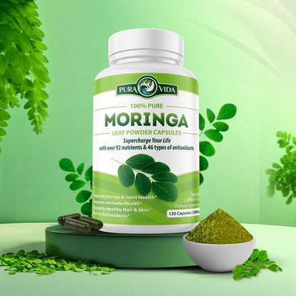 Moringa Leaf Powder Capsules Pura Vida 500mg (120 Capsules) - Pura Vida Moringa