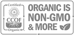 Image banner