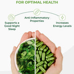 Pura Vida Moringa Capsules 500mg (2 Pack) - Pura Vida Moringa