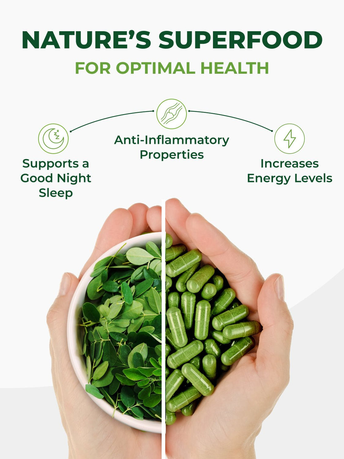 Pura Vida Moringa Capsules 500mg (2 Pack) - Pura Vida Moringa